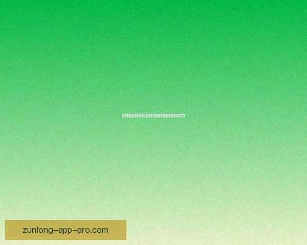 世界杯竞猜策略解析 提高预测准确率的实用技巧与方法